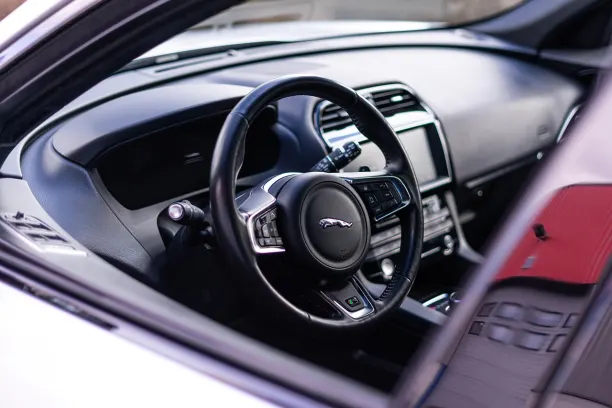 جست واو كازينو تطبيق أندرويد/آي أو إس